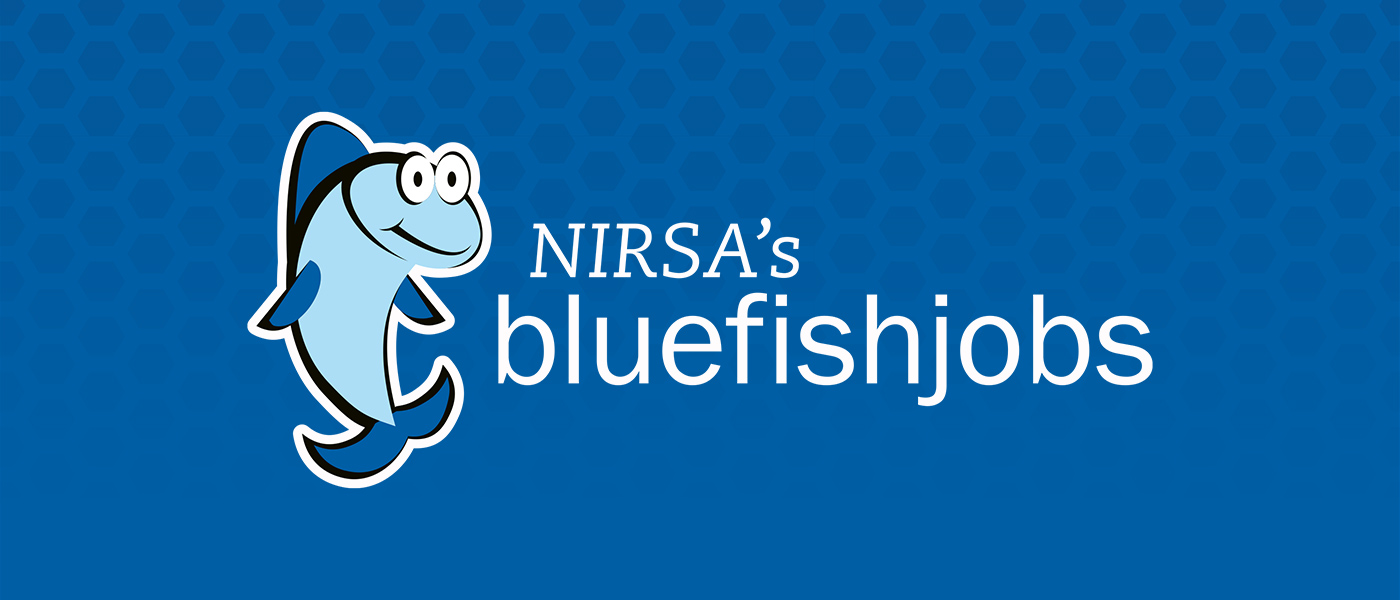 bluefishjobs.com