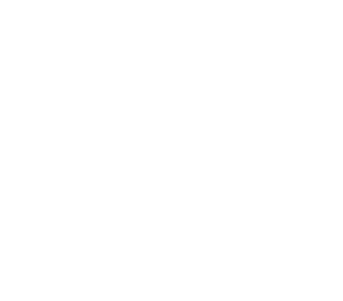 NIRSA Collegiate Esports Institute Logo NIRSA Collegiate Esports Institute Logo